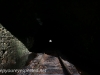Hazle Brook- Jeddo tunnel  (7 of 16)