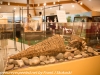Shoshone Bannock Museum (16 of 23)