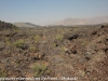 Craters of the Moon (7 of 27)