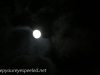 Moon (15 of 24).jpg