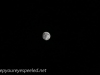 Moon (17 of 24).jpg