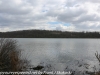 Lake Ontelaunee March10 (34 of 41)