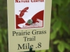 Lehigh Gap prairie grass trail  (21 of 50)