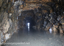Lofty tunnel (9 of 18)