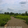 Longwood-Gardens-meadow-hike-1-of-41