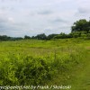 Longwood-Gardens-meadow-hike-10-of-41