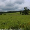 Longwood-Gardens-meadow-hike-13-of-41