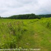 Longwood-Gardens-meadow-hike-14-of-41