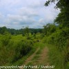 Longwood-Gardens-meadow-hike-20-of-41