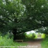 Longwood-Gardens-meadow-hike-5-of-41