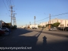 Los Angeles morning walk (24 of 35)