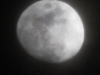 gibbous moon-23
