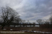 Middle Creek landscapes March 15 2015