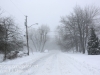 blizzard walk-4