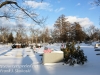Mountain View Cemetery -3