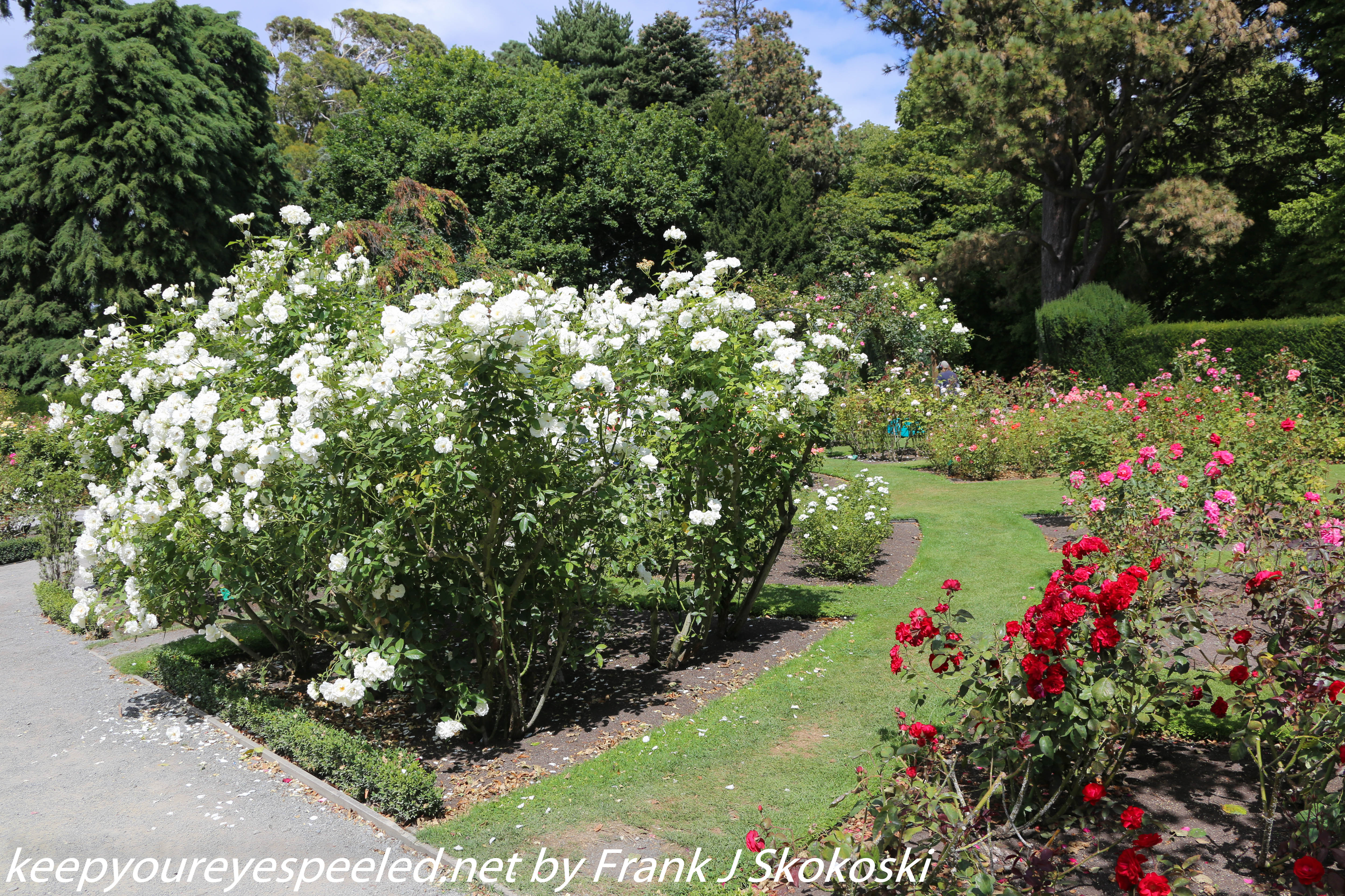 New-Zealand-Christchurch-botnical-gardens-34-of-35