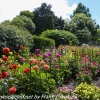 New-Zealand-Christchurch-botnical-gardens-2-of-7