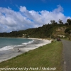 New-Zealand-Day-Ten-Stewart-Island-Rakiura-walk-back-16-of-31