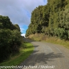 New-Zealand-Day-Ten-Stewart-Island-Rakiura-walk-back-2-of-31