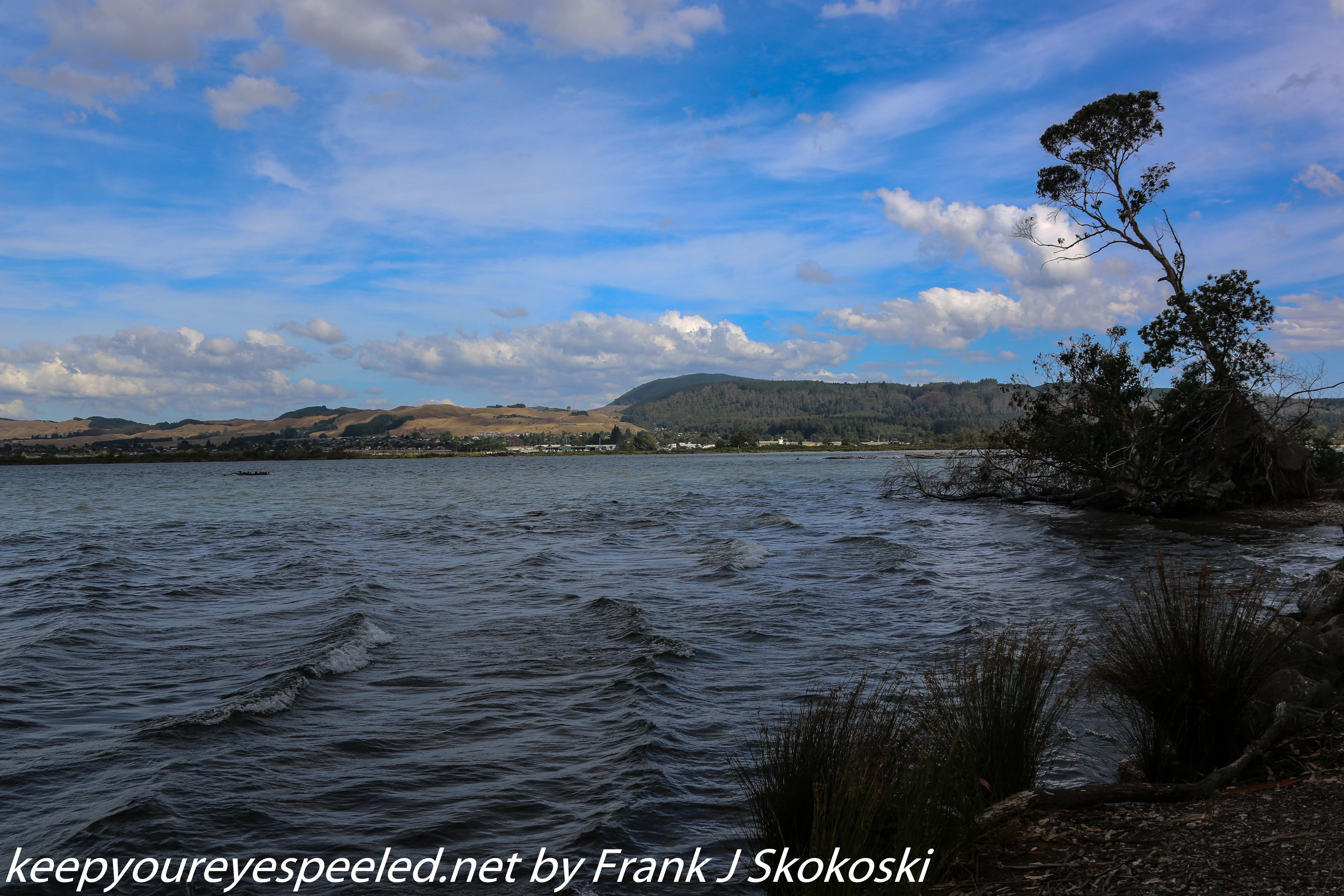 New-zealand-Day-Fifteen-Rotorua-lakefront-hike-11-of-36