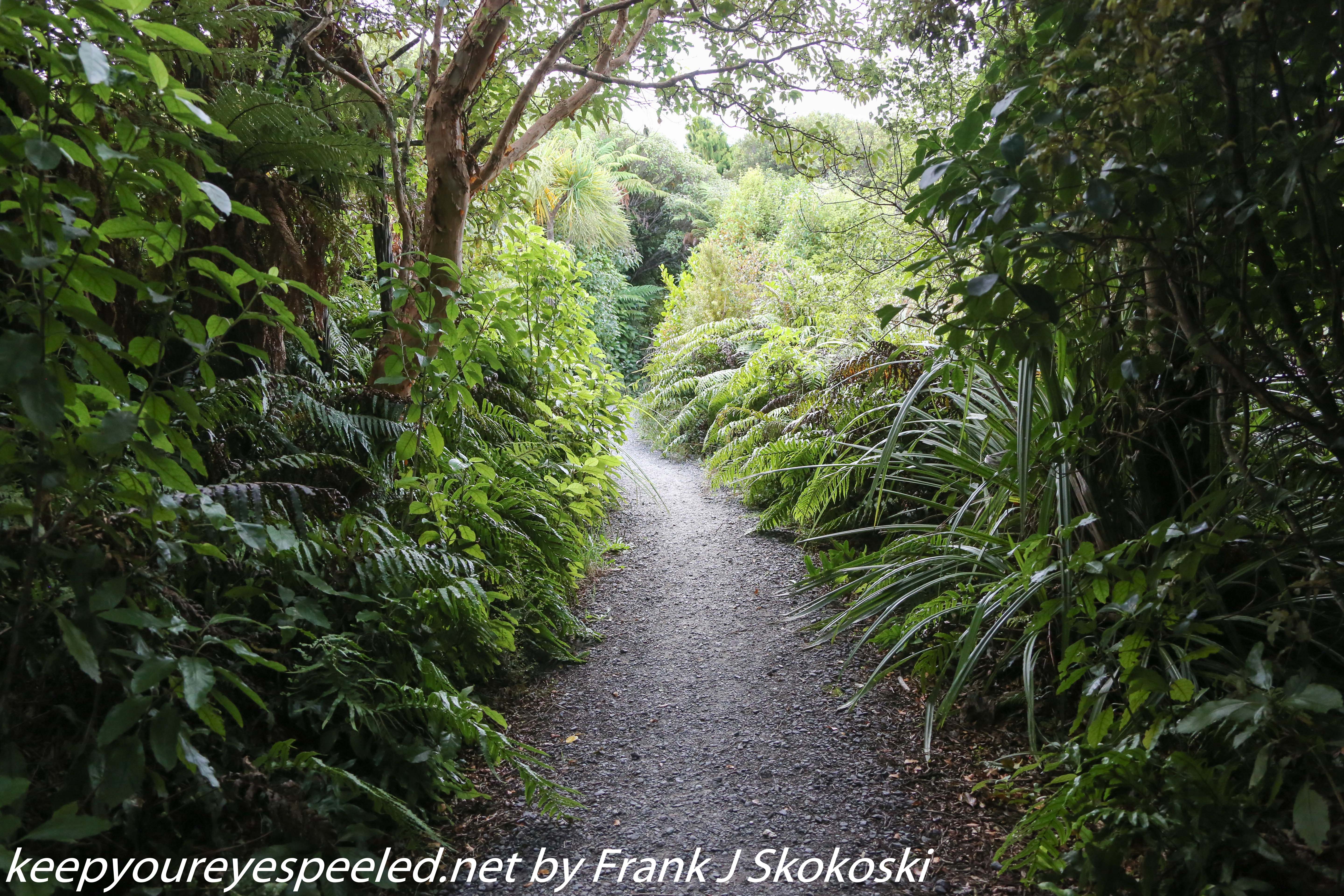 New-Zealand-Day-Eight-Stewart-Island-evening-walk-11-of-21