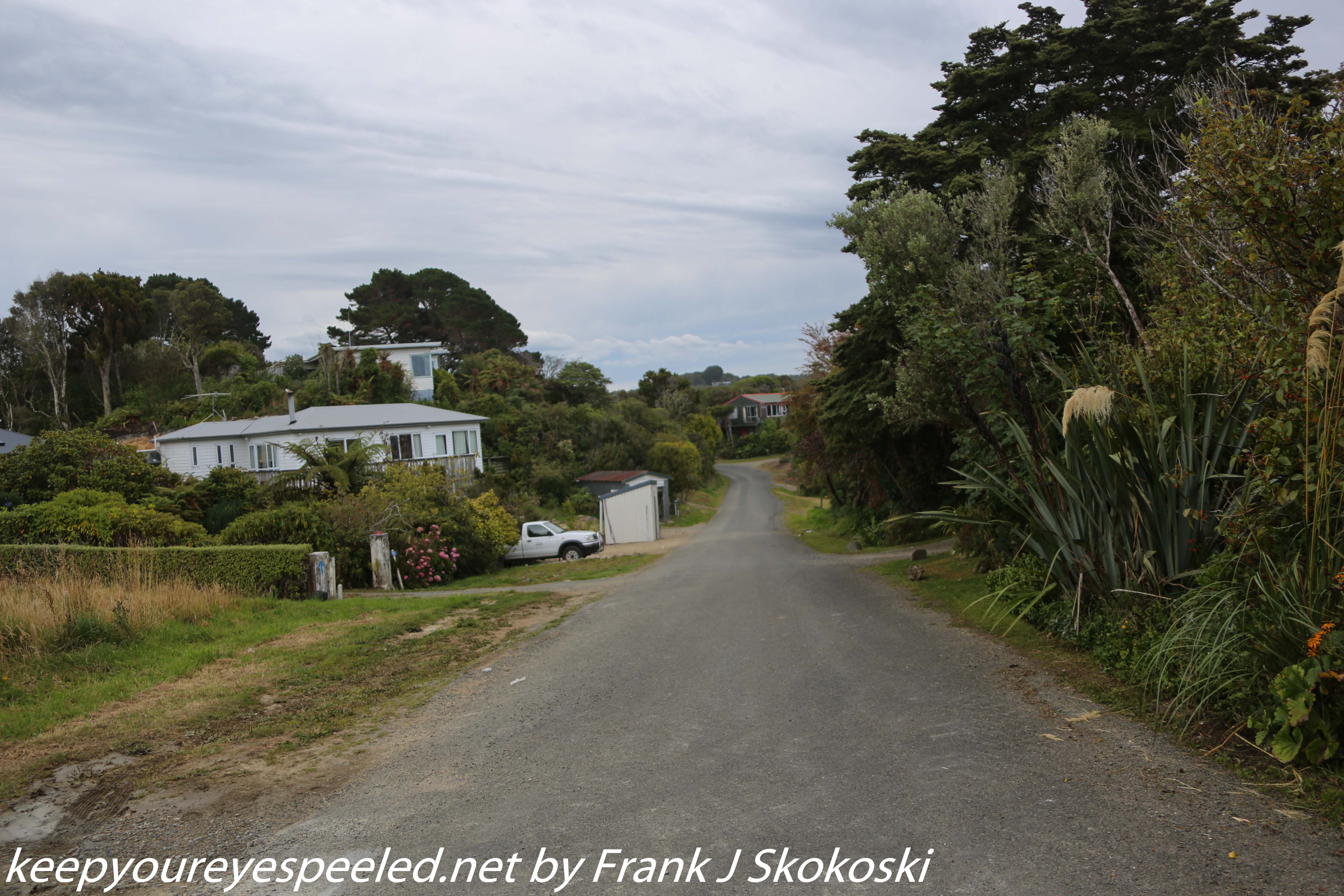 New-Zealand-Day-Eight-Stewart-Island-evening-walk-16-of-21