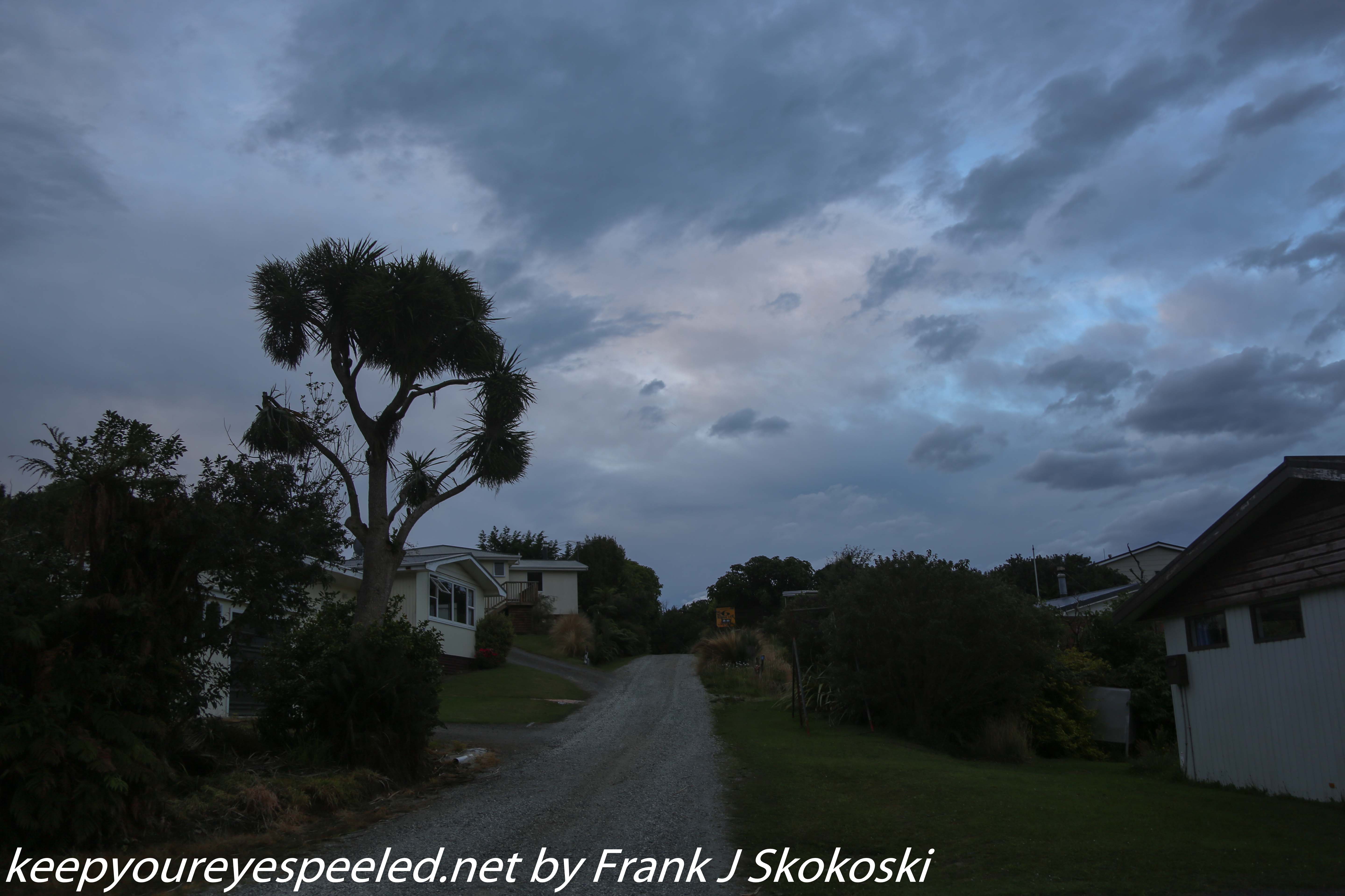 New-Zealand-Day-Eight-Stewart-Island-evening-walk-21-of-21