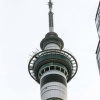 New-zealand-Day-Eighteen-Auckland-afevening-walk-February-23-36-of-46