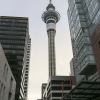 New-zealand-Day-Eighteen-Auckland-afevening-walk-February-23-37-of-46