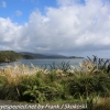 New-Zealand-Day-Eleven-Stewart-Island-afternoon-hike-1-of-2