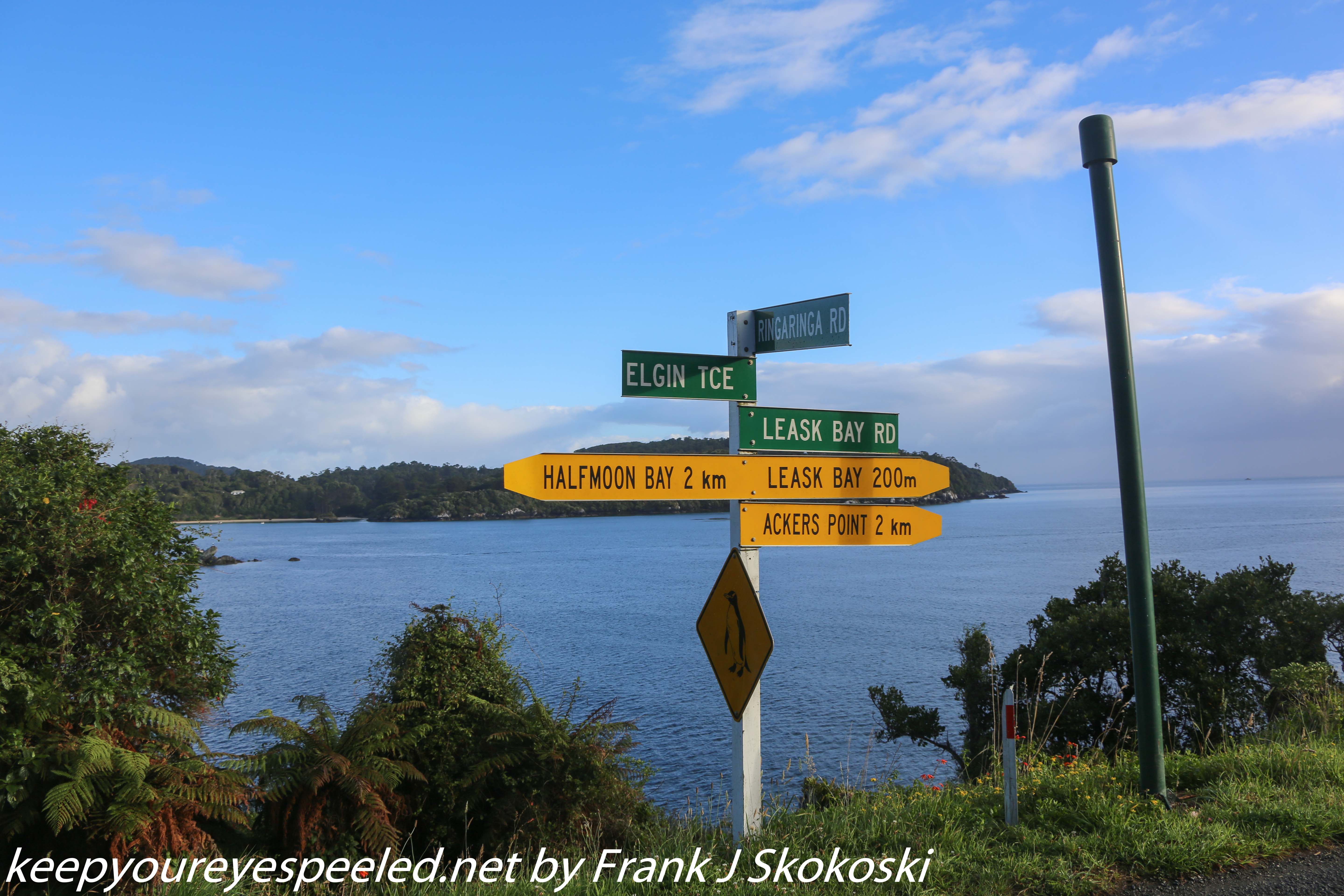 New-Zealand-Day-Eleven-Stewarts-Island-morning-walk-11-of-27