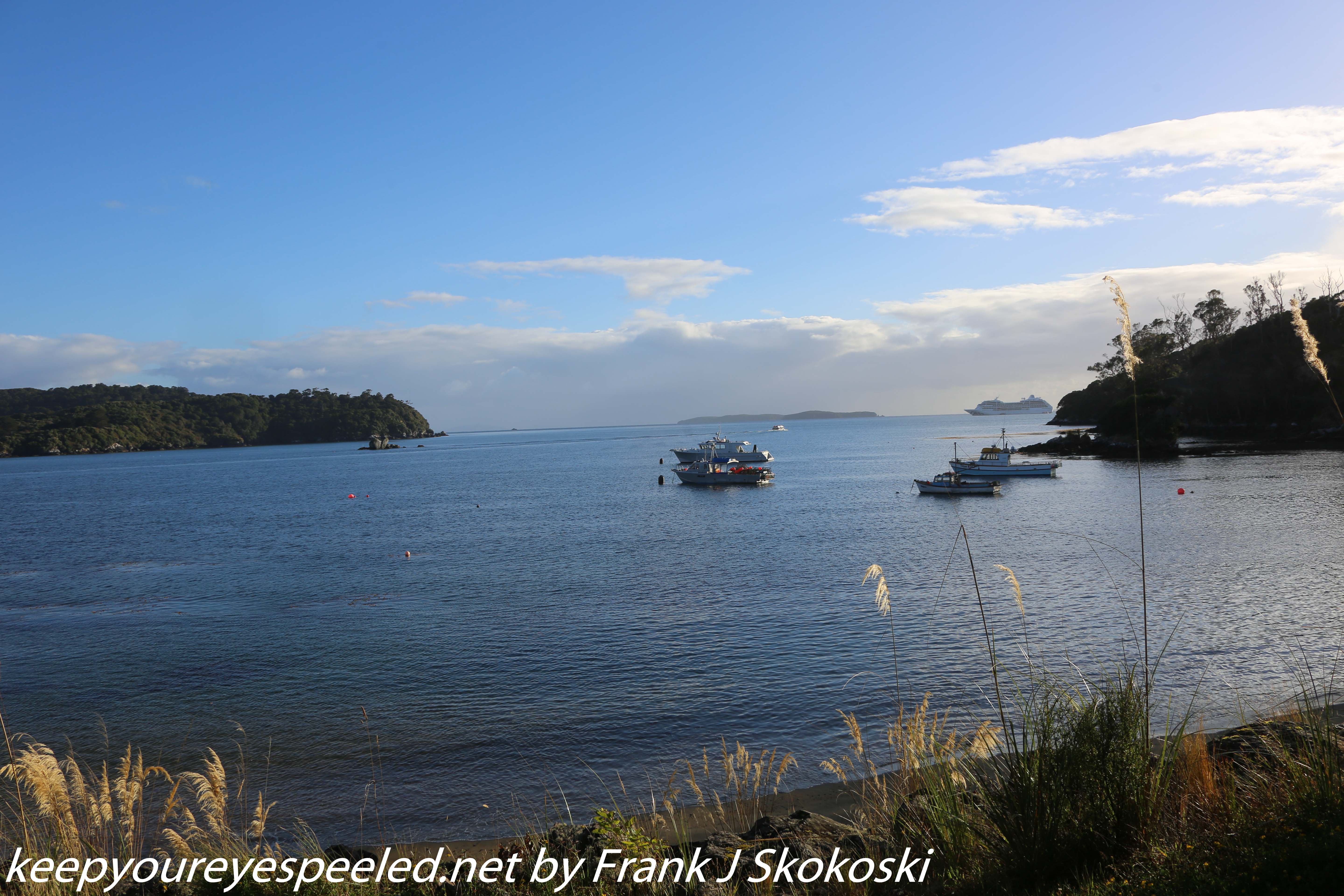 New-Zealand-Day-Eleven-Stewarts-Island-morning-walk-17-of-27