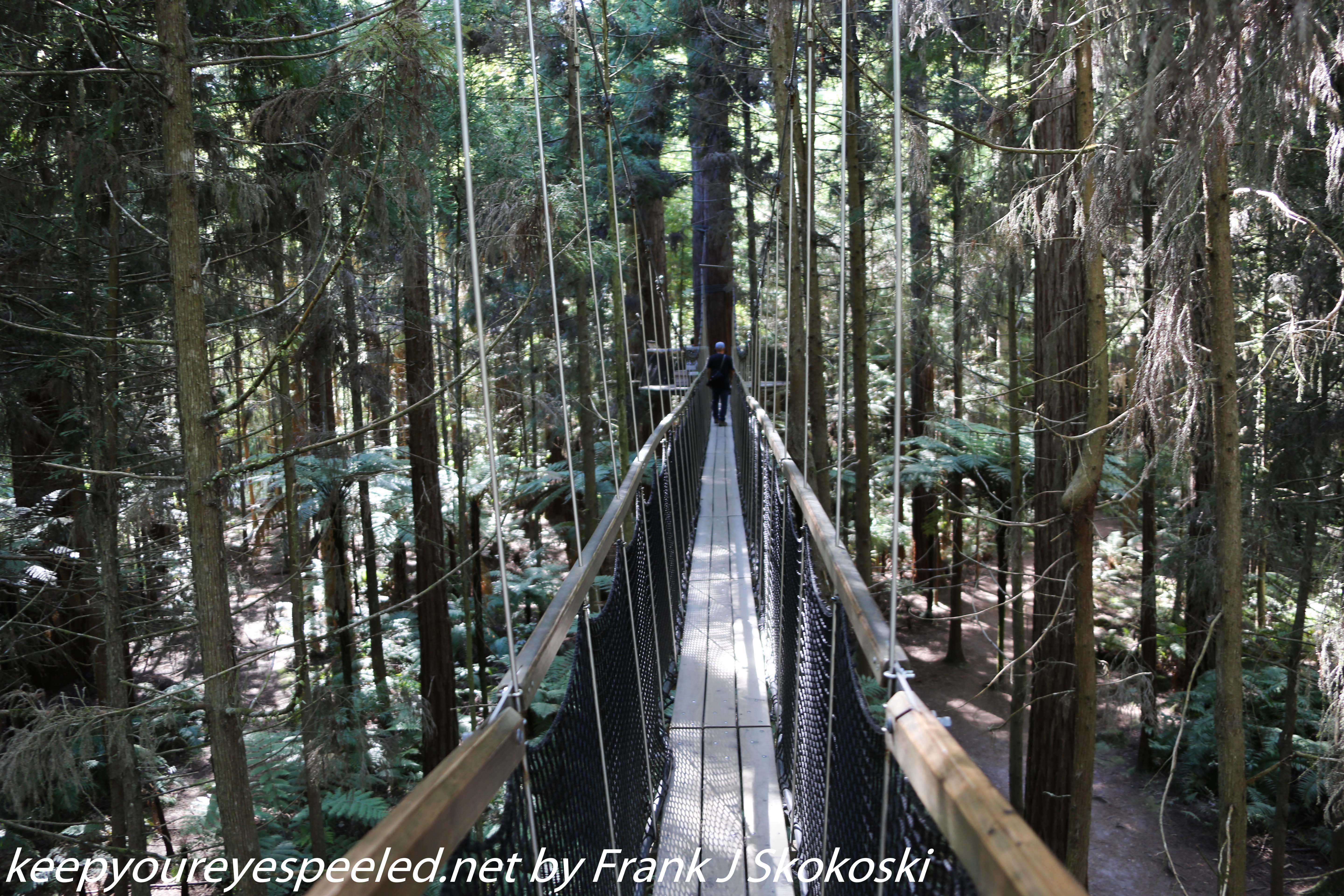 New-zealand-Day-Fifteen-Rotorua-Rewood-forest-and-Blue-lake-34-of-49