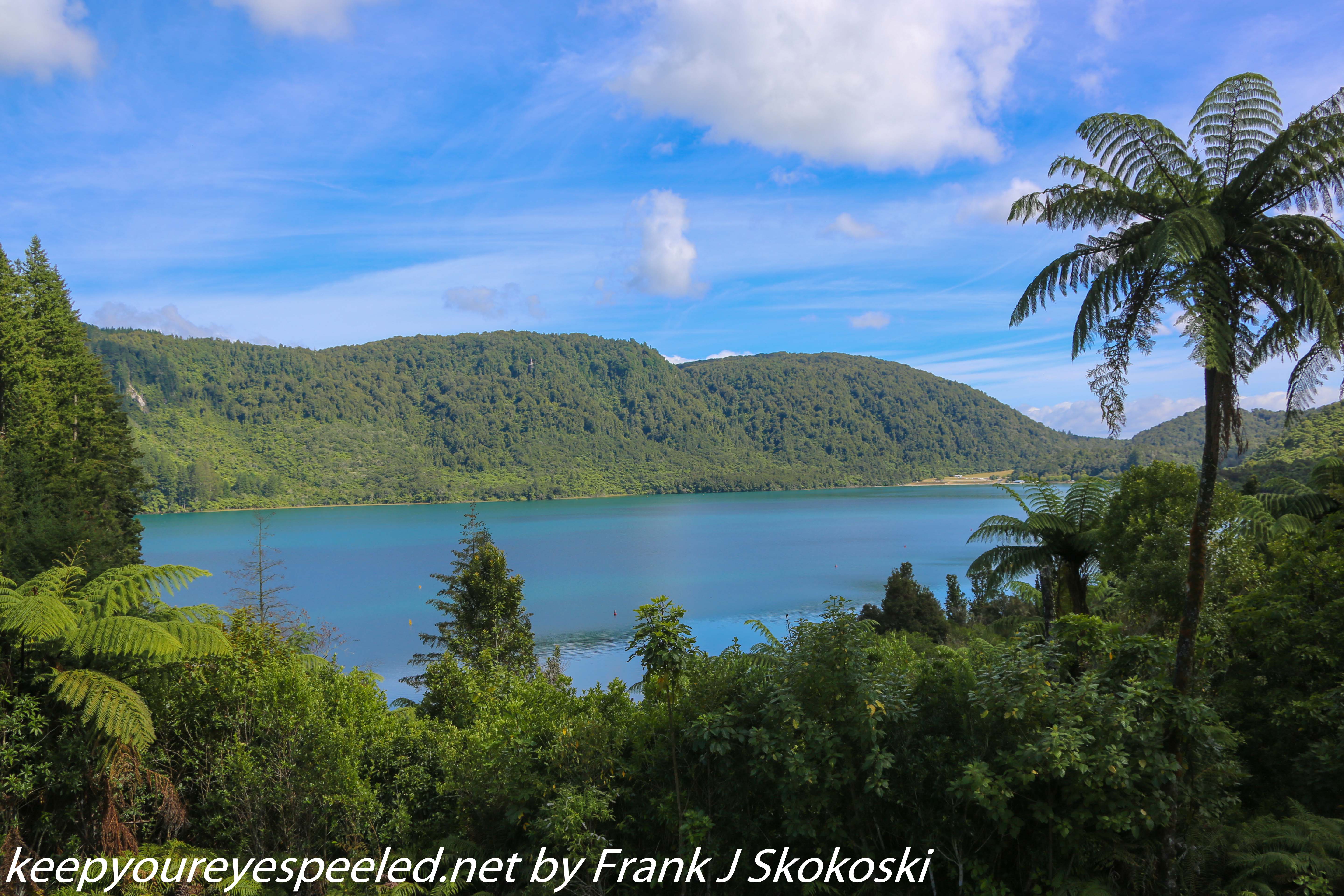 New-zealand-Day-Fifteen-Rotorua-Rewood-forest-and-Blue-lake-42-of-49