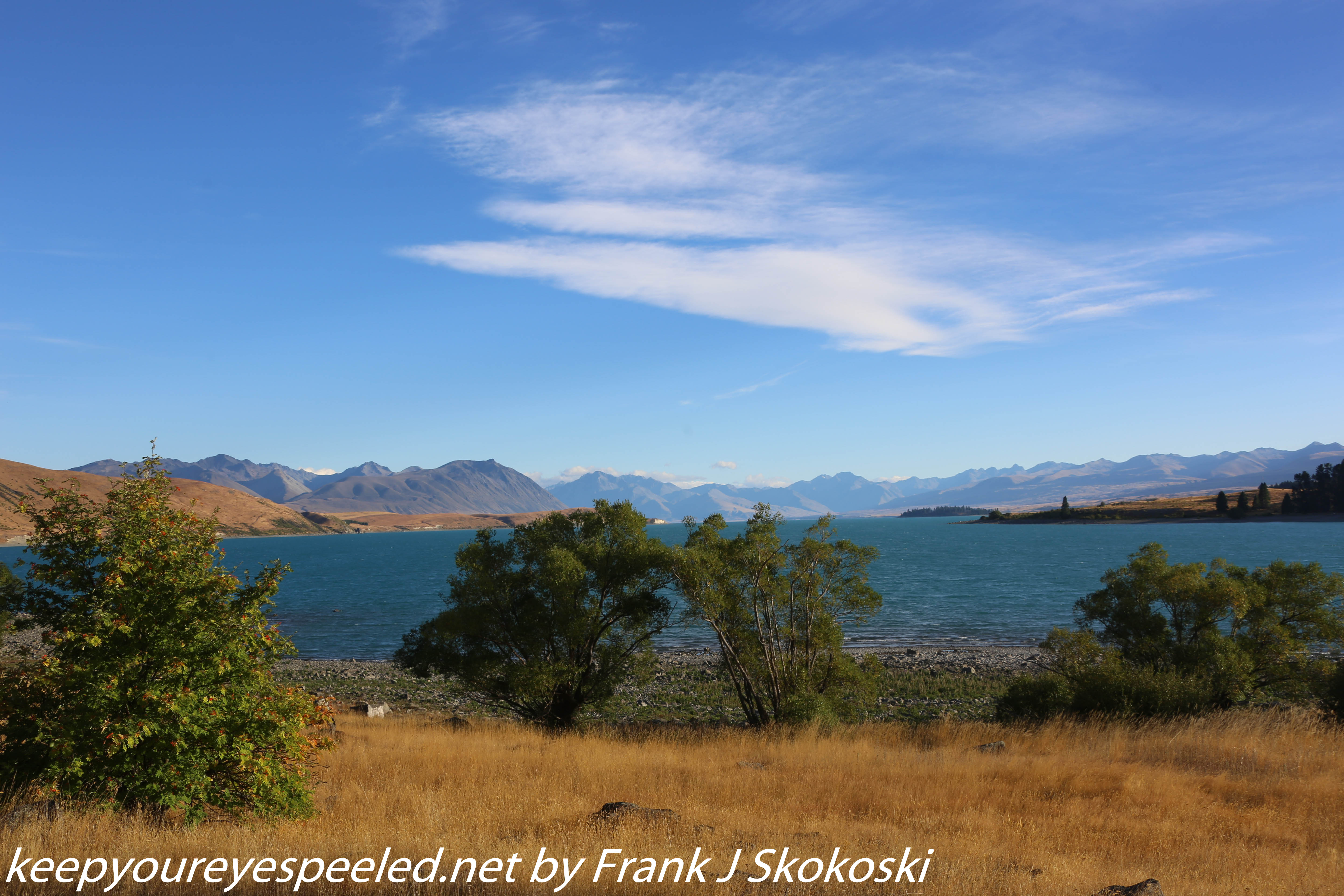 New-Zealand-Day-Five-lake-tepako-morning-walk-31-of-32