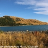 New-Zealand-Day-Five-lake-tepako-morning-walk-25-of-32