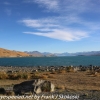 New-Zealand-Day-Five-lake-tepako-morning-walk-29-of-32