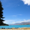 New-Zealand-Day-Four-Lake-Tepako-walk-25-of-33