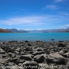 New-Zealand-Day-Four-Lake-Tepako-walk-9-of-33
