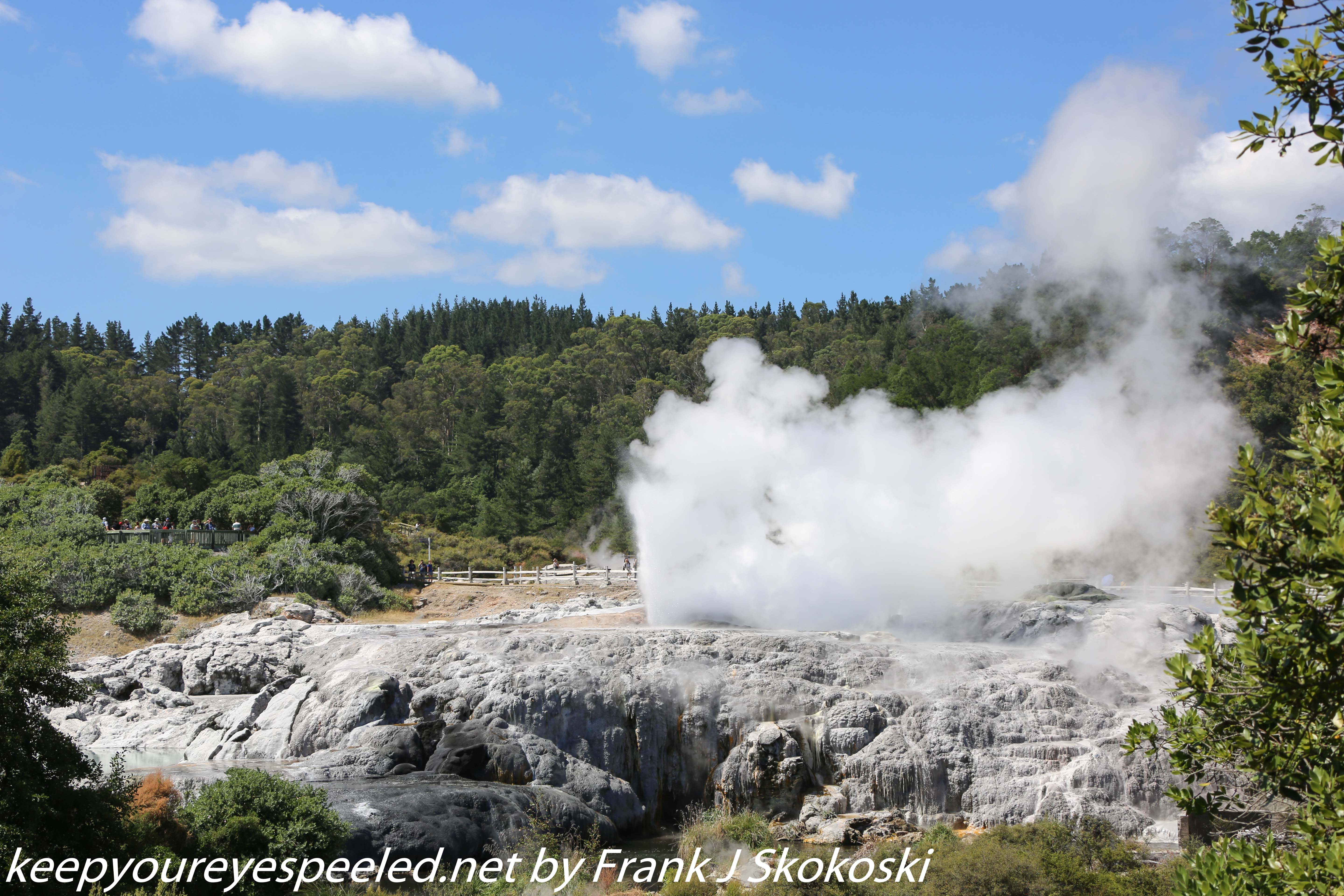 New-Zealand-Day-Fourteen-Rotorua-geysers-and-walk-11-of-11