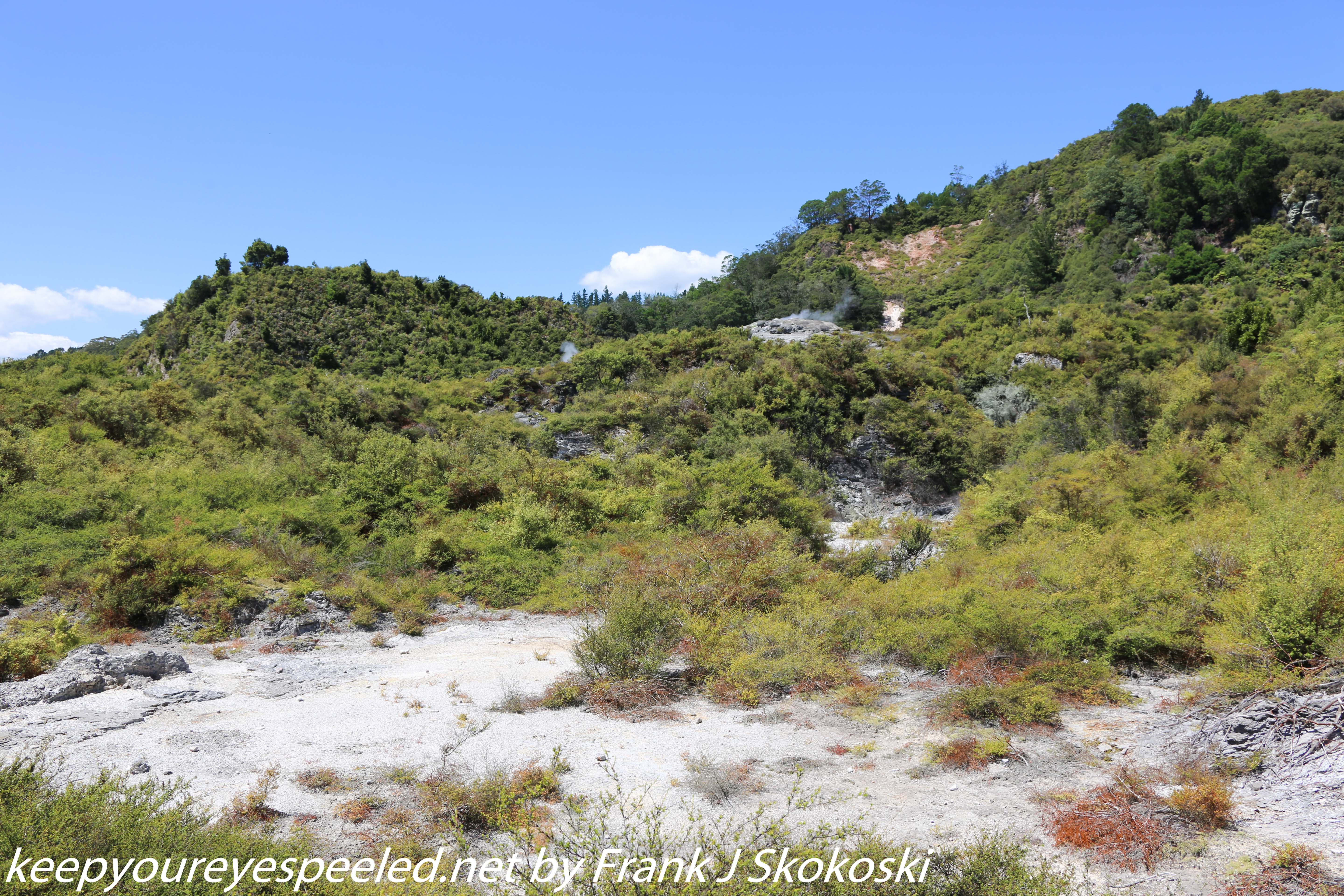 New-Zealand-Day-Fourteen-Rotorua-geysers-and-walk-16-of-31
