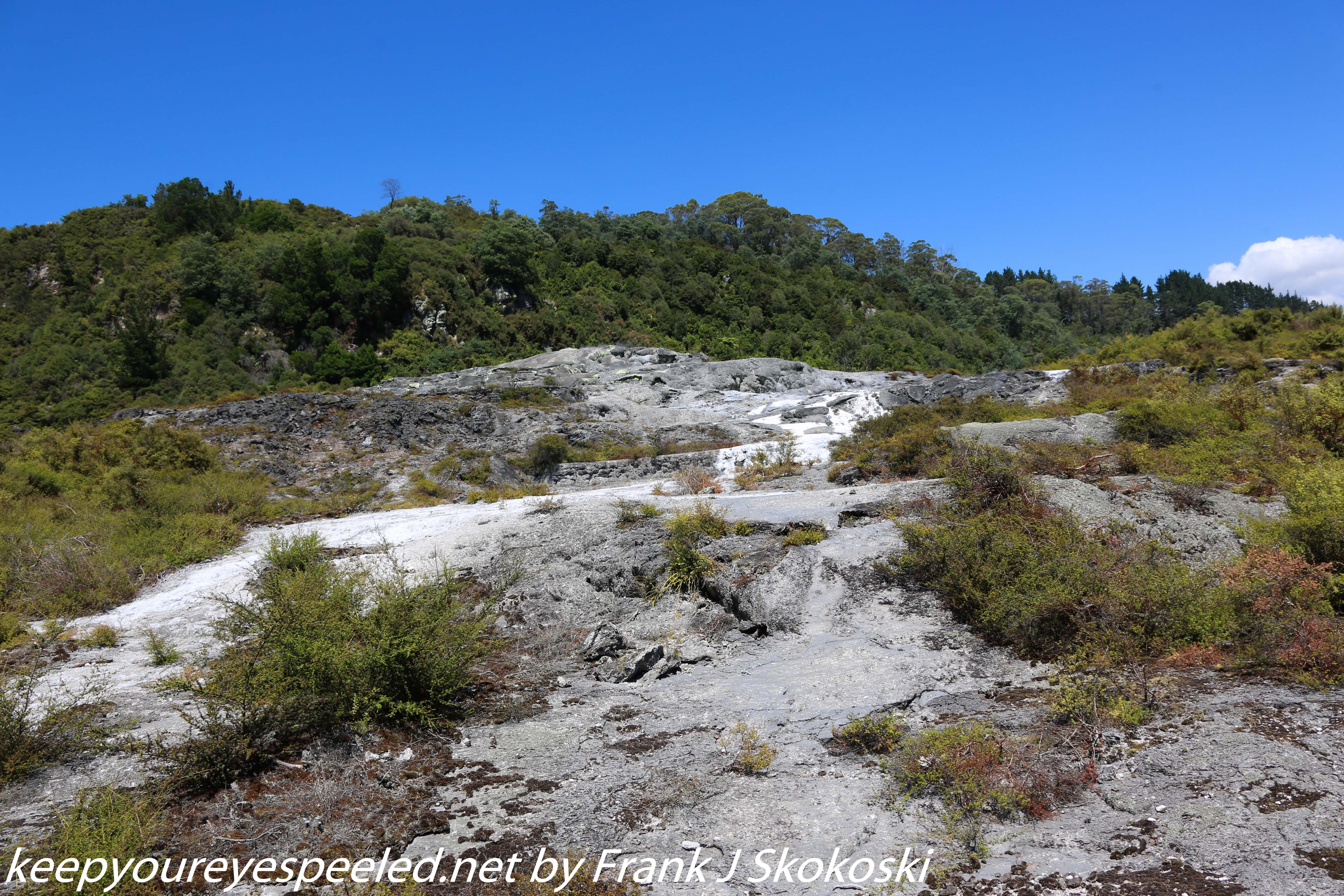 New-Zealand-Day-Fourteen-Rotorua-geysers-and-walk-18-of-31