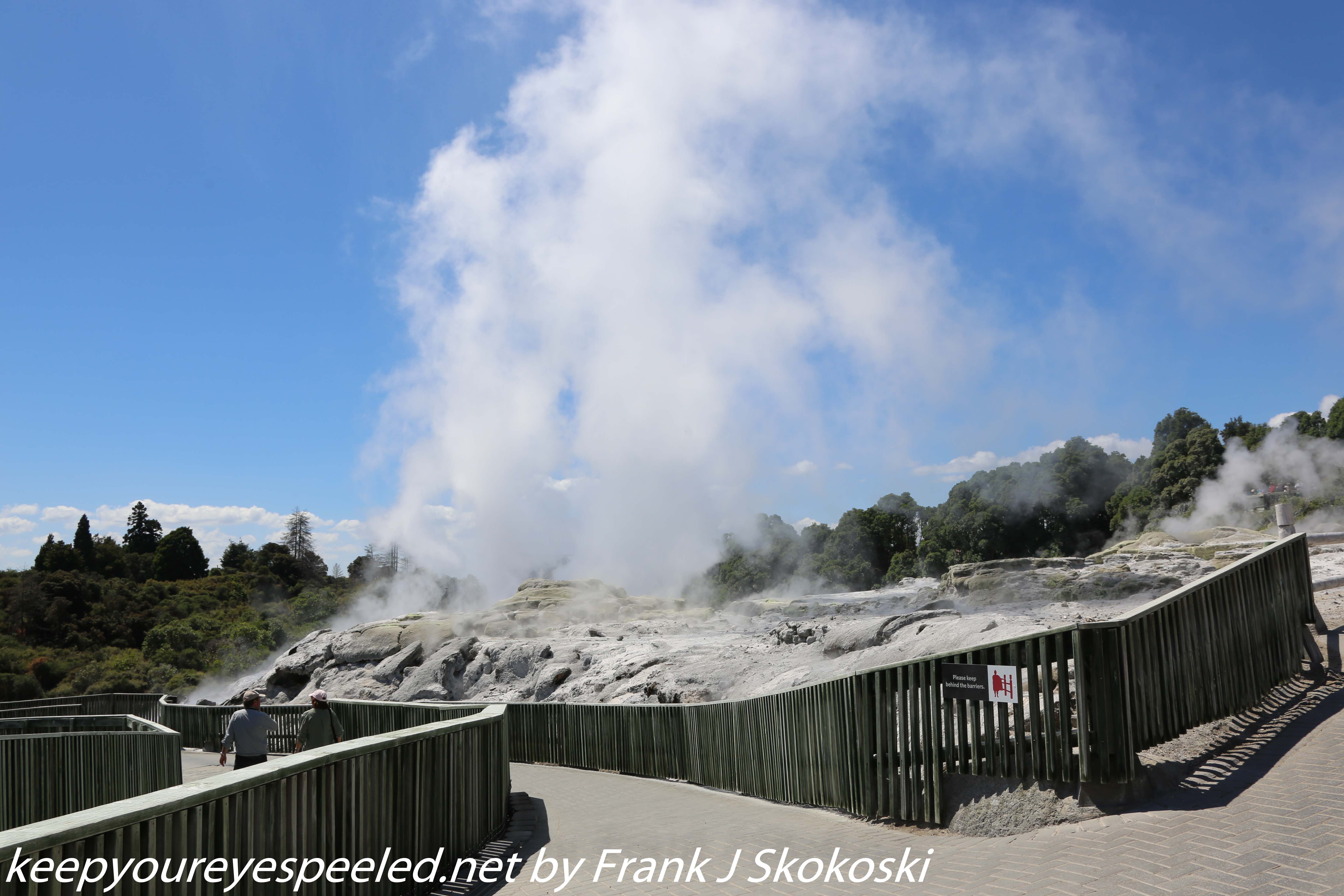 New-Zealand-Day-Fourteen-Rotorua-geysers-and-walk-21-of-31