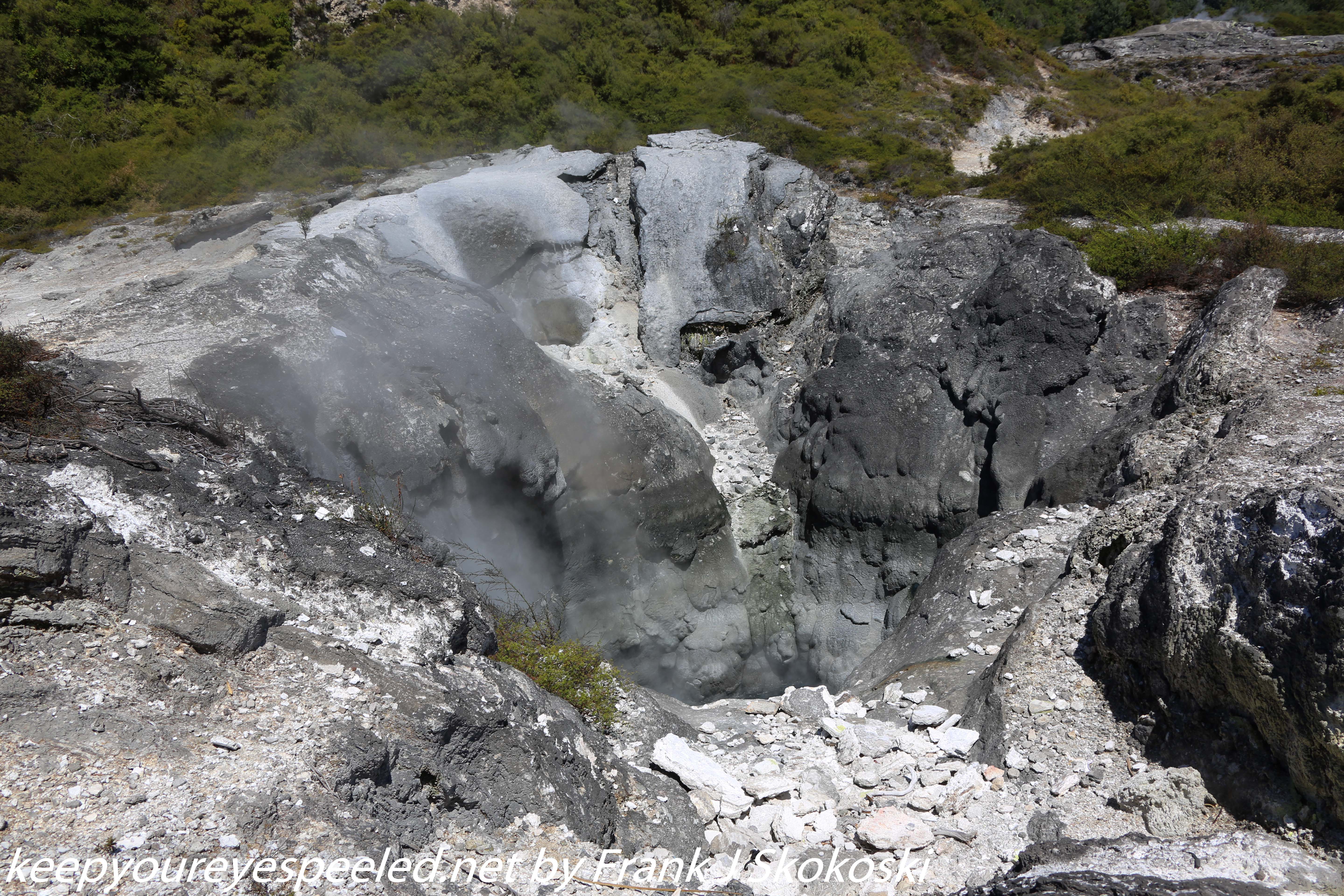 New-Zealand-Day-Fourteen-Rotorua-geysers-and-walk-25-of-31