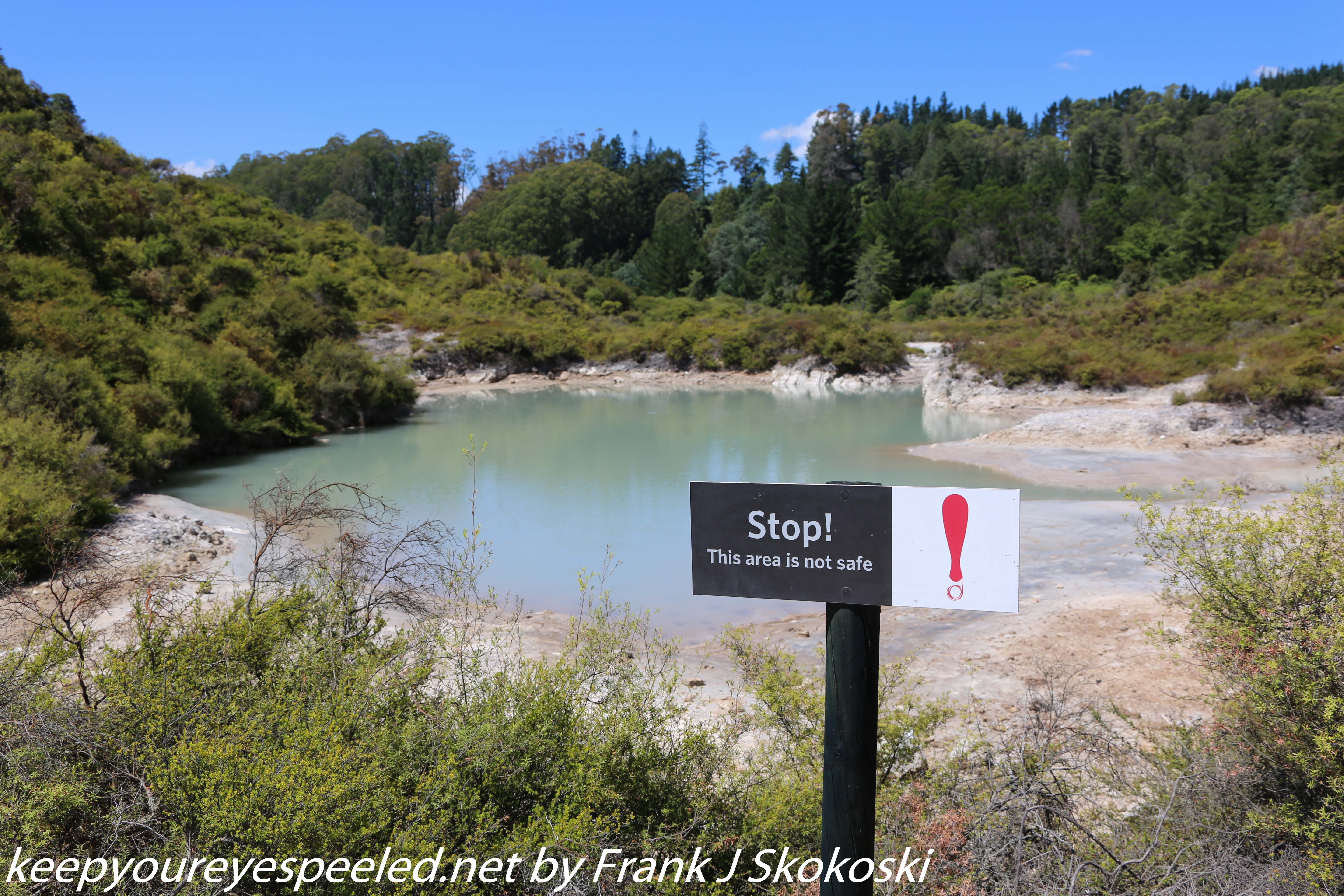 New-Zealand-Day-Fourteen-Rotorua-geysers-and-walk-26-of-31