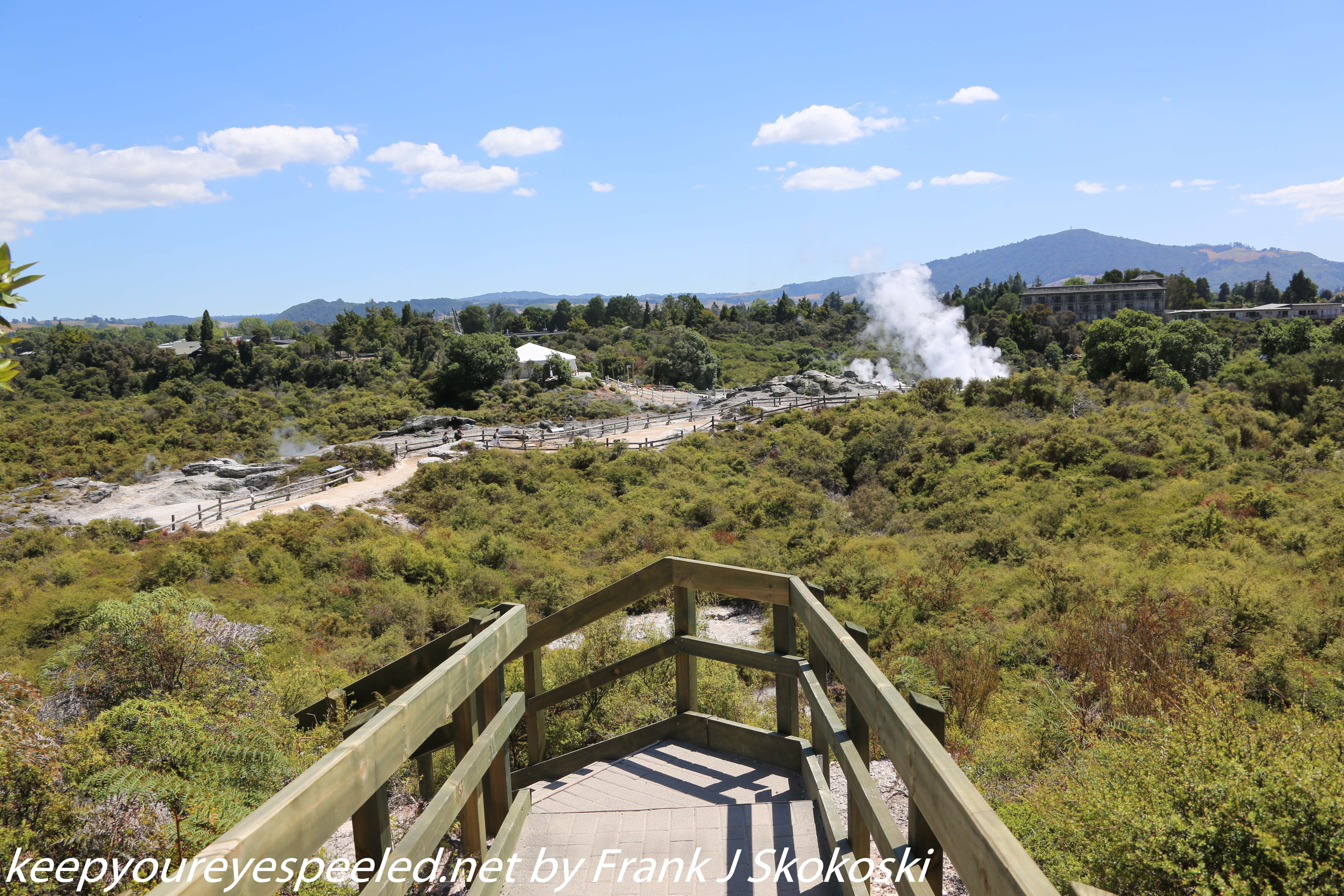 New-Zealand-Day-Fourteen-Rotorua-geysers-and-walk-27-of-31