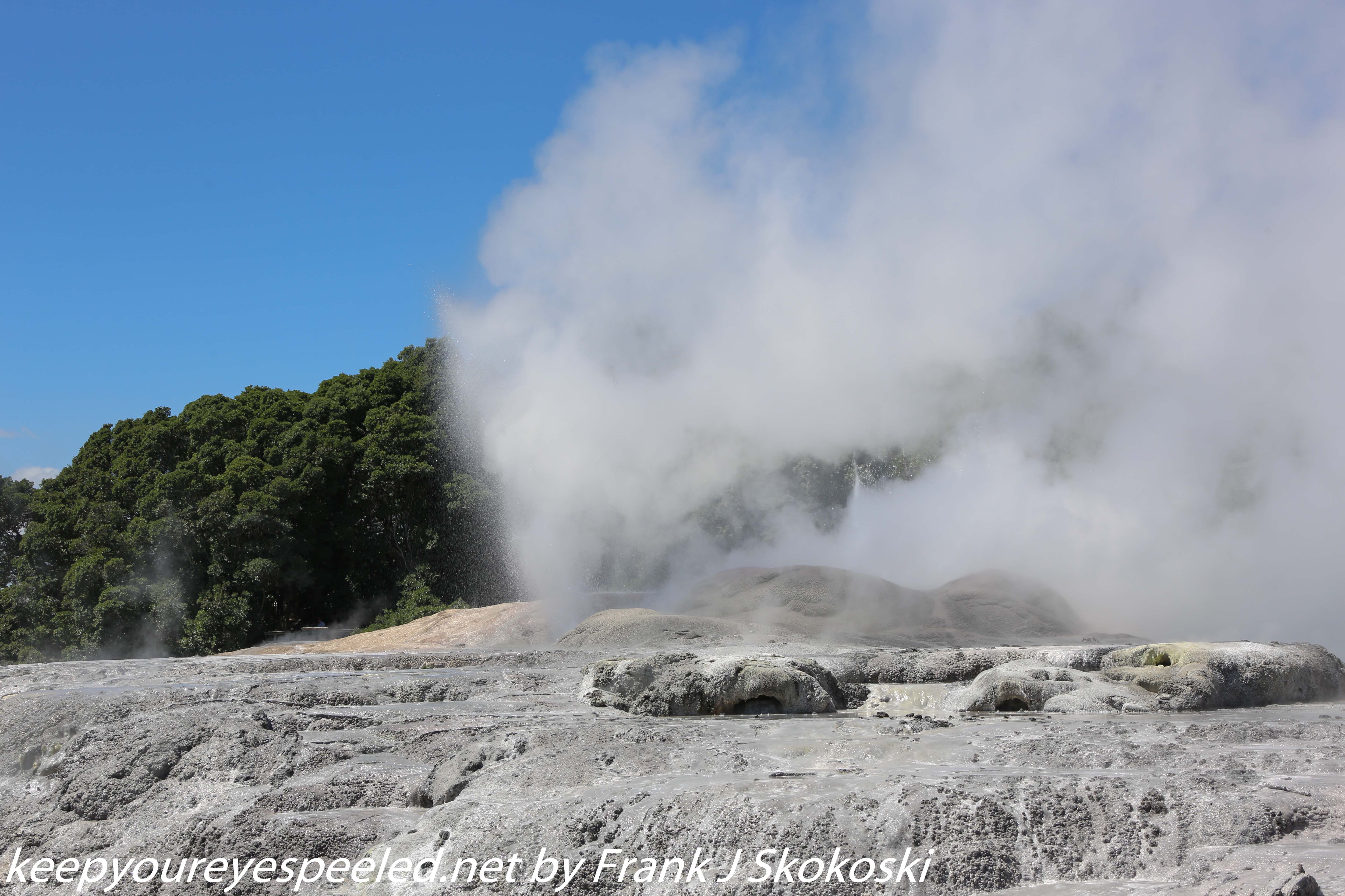 New-Zealand-Day-Fourteen-Rotorua-geysers-and-walk-28-of-31