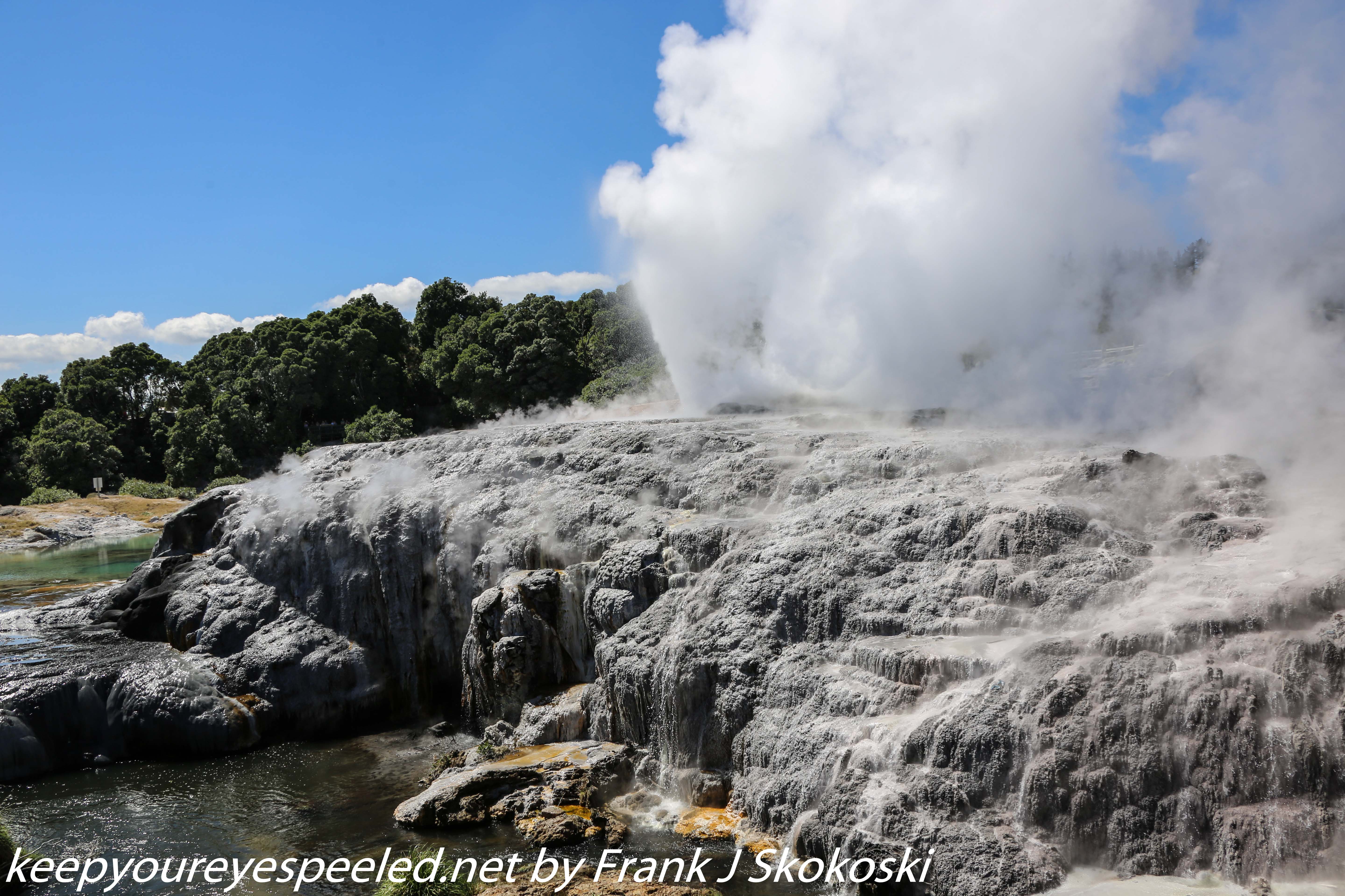 New-Zealand-Day-Fourteen-Rotorua-geysers-and-walk-4-of-11