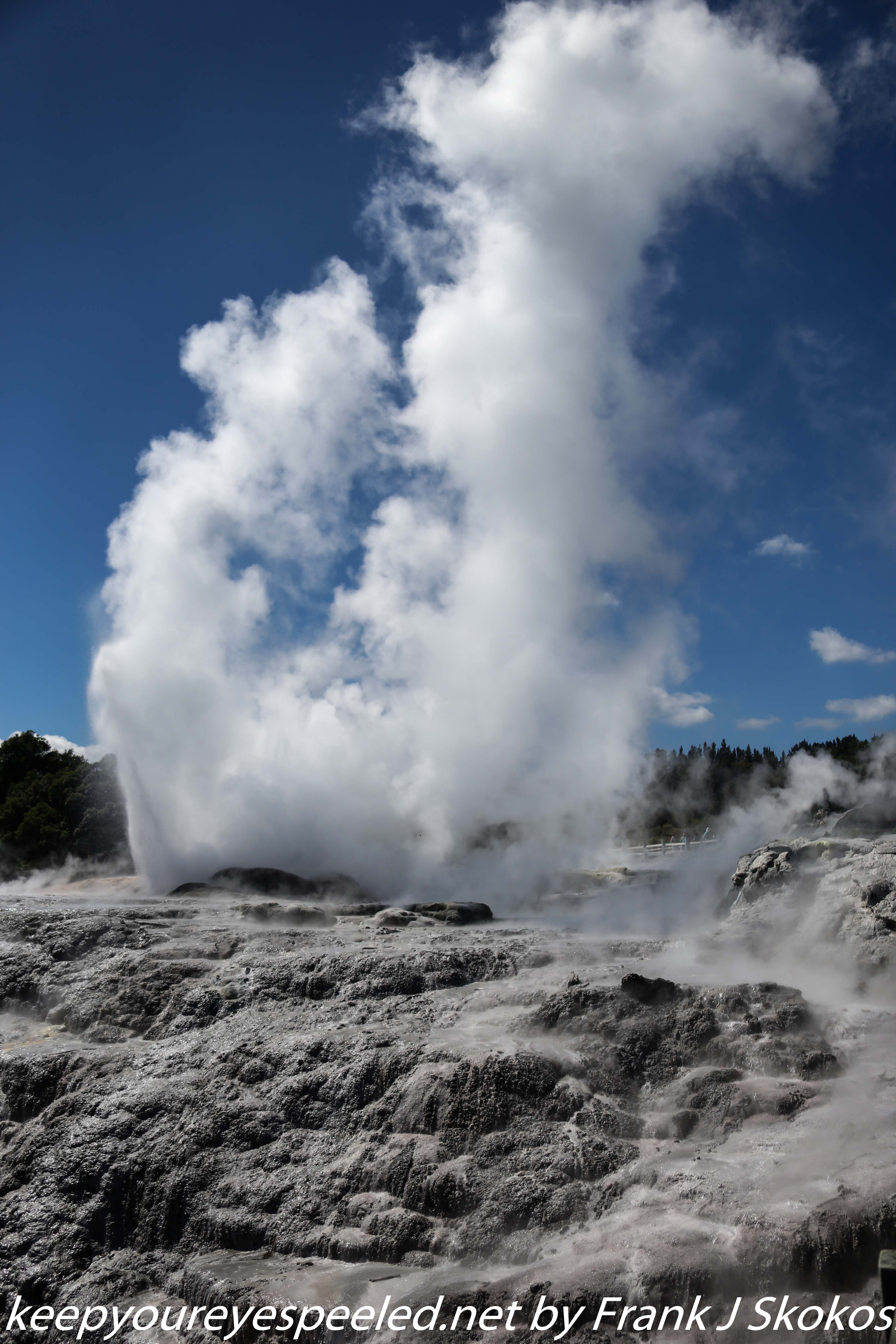 New-Zealand-Day-Fourteen-Rotorua-geysers-and-walk-6-of-11