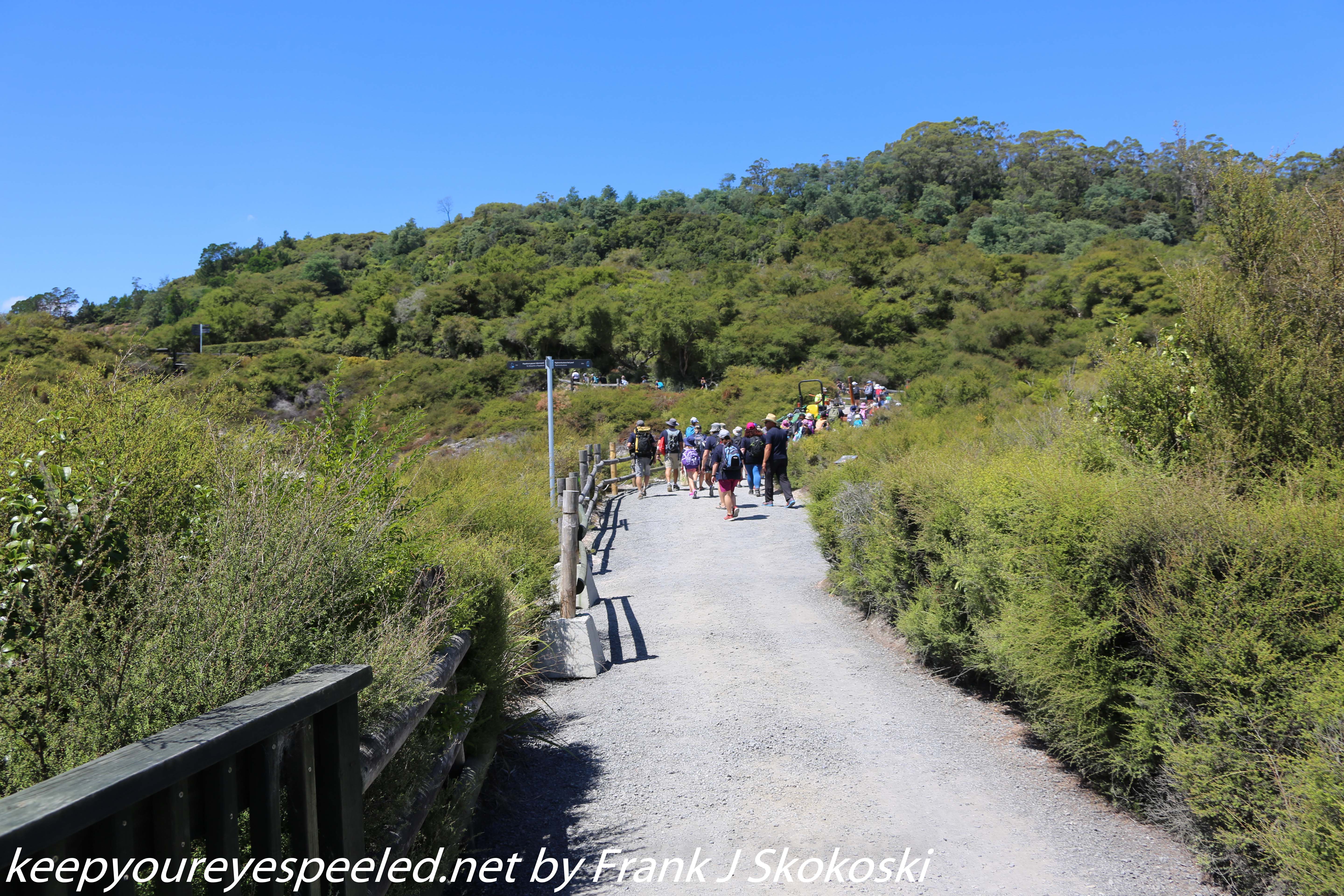 New-Zealand-Day-Fourteen-Rotorua-geysers-and-walk-7-of-31